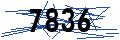 random code